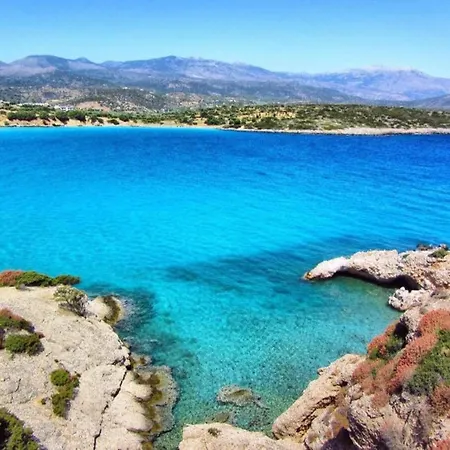 Vila In Near
